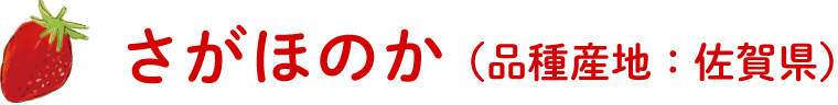 さがほのか（品種産地：佐賀県）