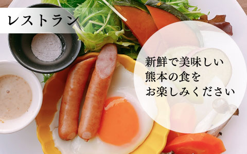 レストラン／新鮮で美味しい熊本の食をお楽しみください